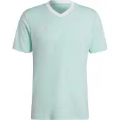 Adidas Entrada 22 Short Sleeve T-shirt Blauw S / Regular Man