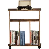 Vdd Lp vinyl opbergkast - boekenkast - opbergen tijdschriften boeken platen