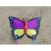 Didak Beach Pinky Winky Vlieger - 52x73 cm