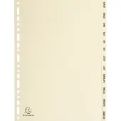 Exacompta 10x Tabbladen in karton 155g - 12 tabs - januari/december - A4 - Ivoor - 1212E