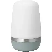 Blomus Buitenlamp Spirit Pine Gray M