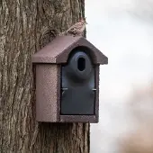 Cj Wildlife Nestkast Bilbao - Woodstone ovale invliegopening | |