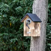 Cj Wildlife Protector Nestkast Bandera 34 mm | | | | Partner van Vogelbescherming Nederland