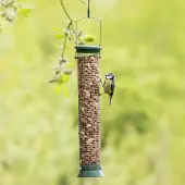 Cj Wildlife Pindasilo Challenger Kunststof 38 cm Groen | Vivara | Veilig pinda's voeren aan vogels | Groot formaat silo voor pinda's