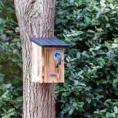 Cj Wildlife Protector Beaumont Nestkast 28 mm | | | | Partner van Vogelbescherming Nederland