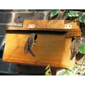 Cj Wildlife Ruim Vogelhuis voor Mussen (huismus & ringmus) | Ideaal voor het broedseizoen |