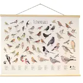 Vogelbescherming Elwin van der Kolk wandposter tuinvogels