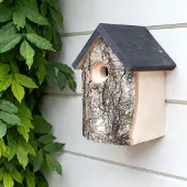 Cj Wildlife Berken Nestkast Kingston 28 mm | | | | Partner van Vogelbescherming Nederland