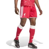 Adidas Sportbroek 'FC Liverpool 26/27' cranberry / wit