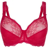 Lingadore BH rood
