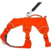 Ruffwear Webmaster Harness