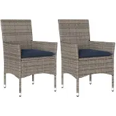 vidaXL Tuinstoelen 2 st met kussens poly rattan grijs