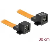 DeLOCK RJ45 FPC (Flexible Printed Circuit) window feed-through 30 cm