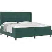 vidaXL Boxspring bed met hoofdeinde Donkergroen 200 x 200 cm Fluweel