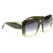 Ana Hickmann Sunglasses AH9413 C02 53