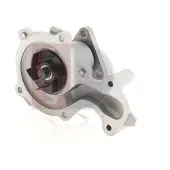 AKS DASIS 570188N Waterpomp