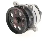 AKS DASIS 570195N Waterpomp