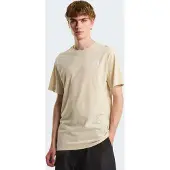 The North Face Shirt 'Evolution Simple Dome' taupe