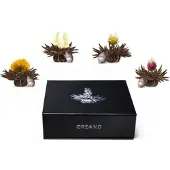Creano Magneetbox met 6 Teelini's zwarte thee