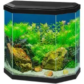 Ciano Aquarium Aqua 30 Led - Zwart - 40x20x45,5cm