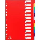 Exacompta 15x Tabbladen in stevige Ondoorzichtige PP - 12 tabs - A4 - Geassorteerd - 4912E