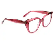Ana Hickmann Optical Frame AH6589 T01 51