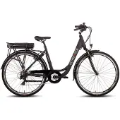 SAXONETTE Degreaser e-bike female