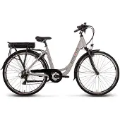 SAXONETTE Degreaser e-bike female