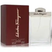 Salvatore Ferragamo eau de toilette spray 100 ml