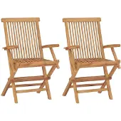 vidaXL Set van 2 klapstoelen met armleuningen, gemaakt van teakhout.