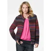Goldner Vest Multicolor wollen jas met opstaande kraag
