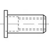 Toolcraft TO-5380617 Popnagel M8 RVS 100 stuk(s)