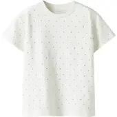 Name it Shirt 'NKFRuaja' zilver / wit