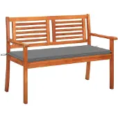 vidaXL Tuinbank 2-zits met kussen 120 cm massief eucalyptushout