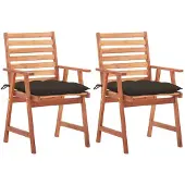 vidaXL Tuinstoelen 2 st met kussens massief acaciahout