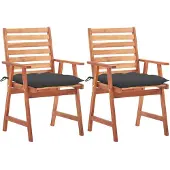 vidaXL Tuinstoelen 2 st met kussens massief acaciahout