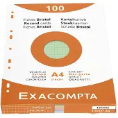 Exacompta Indexkaarten (210 x 297 mm)