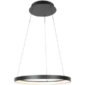 Steinhauer Hanglamp Ringlede zwart