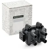 Renault 224336134R Bobine