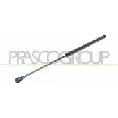 PRASCO FT1139015 Gasveer achterklep