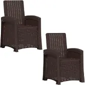 vidaXL Ligstoel Rieten Look 2 st Bruin PP