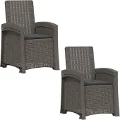 vidaXL Ligstoel Rieten Look 2 st Lichtgrijs en antracietkleurig PP