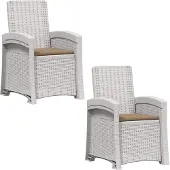 vidaXL Ligstoel Rieten Look 2 st Wit en Taupe PP