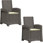 vidaXL Ligstoel Rieten Look 2 st Lichtgrijs en Crème PP