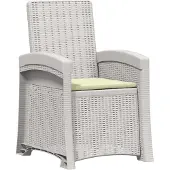 vidaXL Tuinstoel, fauteuil, rotanlook, wit en crème, PP
