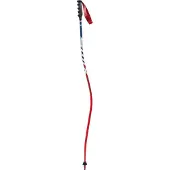 Swix World Cup Pro Dh Carbon Stokken