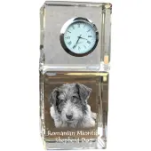 Art-Dog Klok – Roemeense mioritic-herdershond