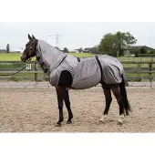 Harry's Horse Harrys Horse Eczeemdeken grijs 195cm
