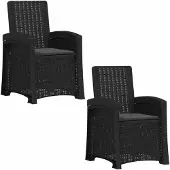 vidaXL Ligstoel Rieten Look 2 pcs Antracietkleurig PP