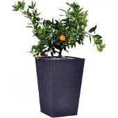 Famanu – Plantenbak rotanlook vierkant met binnenpot 55 cm kunststof grafietgrijs